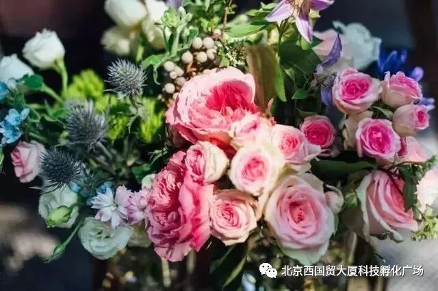 「3.8」趣味沙龙等你来~