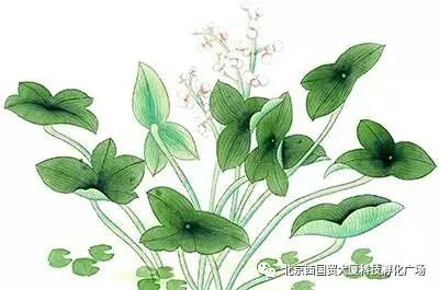 「3.8」趣味沙龙等你来~