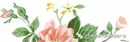 「3.8」趣味沙龙等你来~