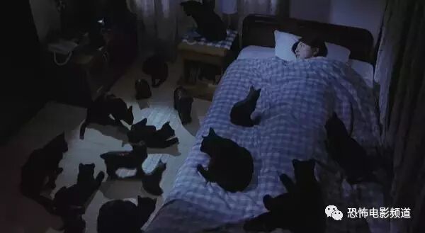 今日推荐丨《咒怨》的恐怖还能走多久