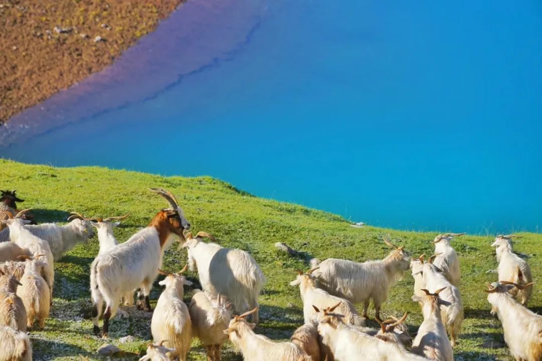 烏孫古道，為何被評為新疆最美徒步路線？ 旅遊 第17張