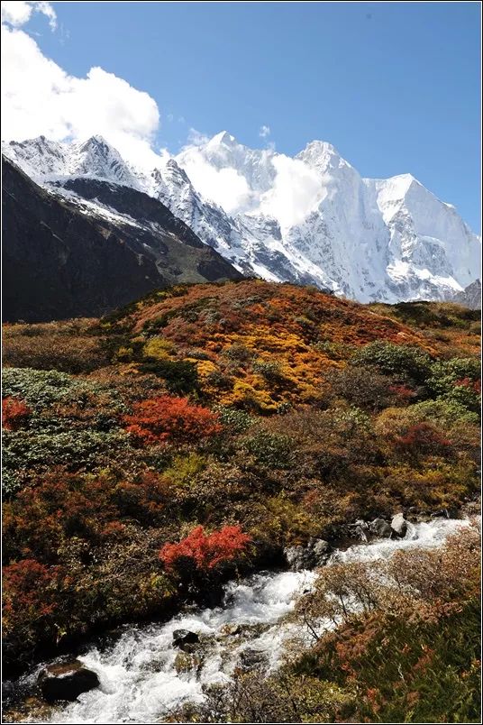 珠峰東坡，為什麼被評為中國最美徒步路線？ 旅遊 第11張