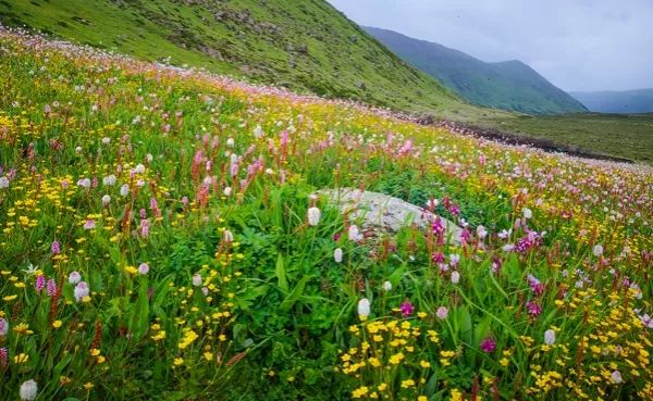 夏季「十大 」最佳旅行目的地，愛了 旅遊 第17張