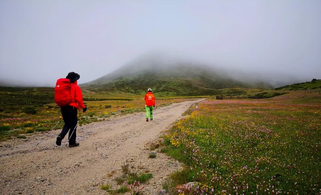 川西最低調的大美徒步路線，非她莫屬！ 旅遊 第80張