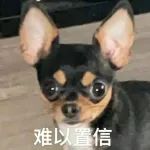 “晒偶像头骨照辟谣整容？？”哈哈哈哈哈哈相当炸裂的澄清方式！