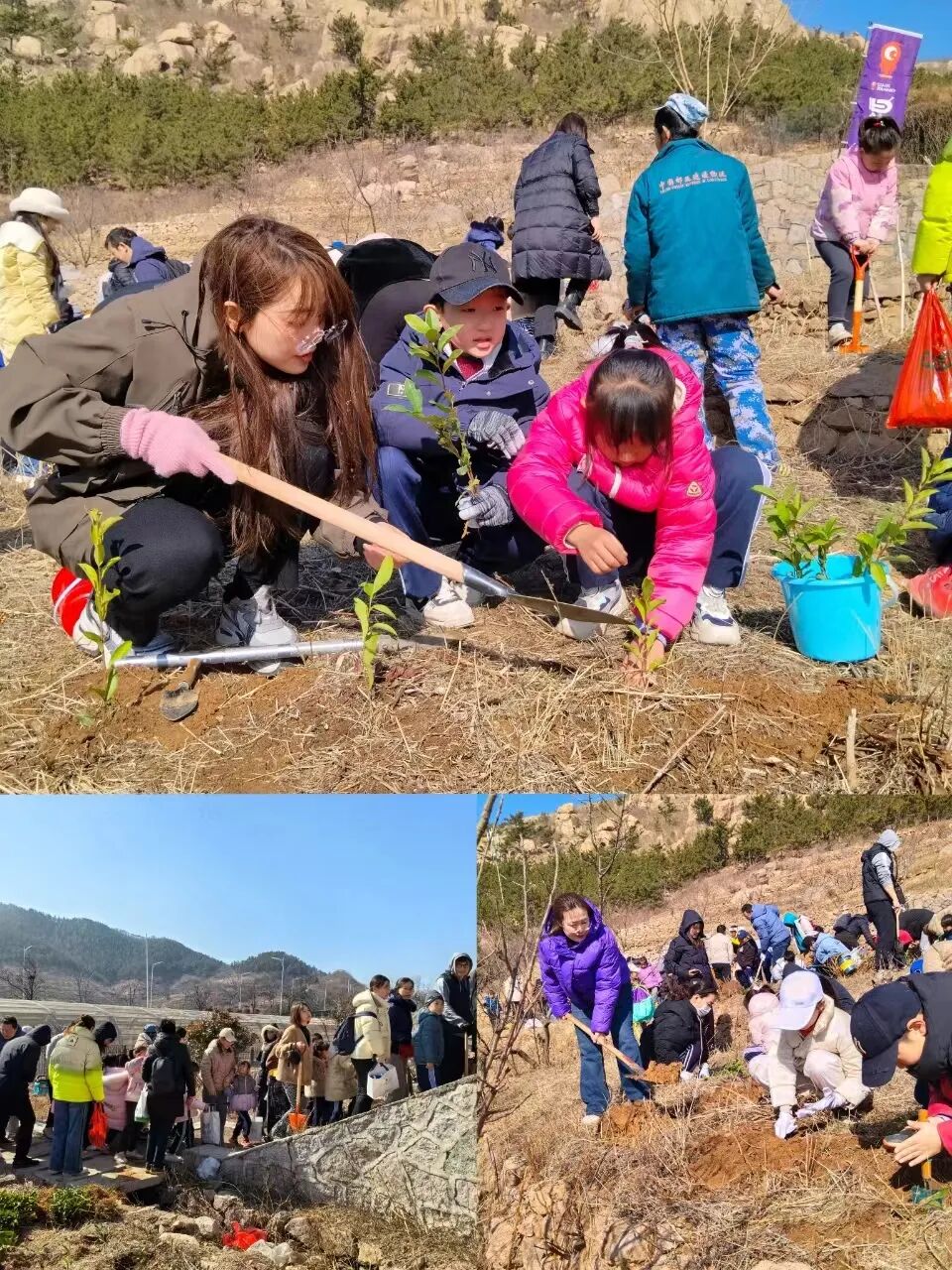 青岛市崂山区第二实验小学预备中队一年级13班开展植树节研学活动
