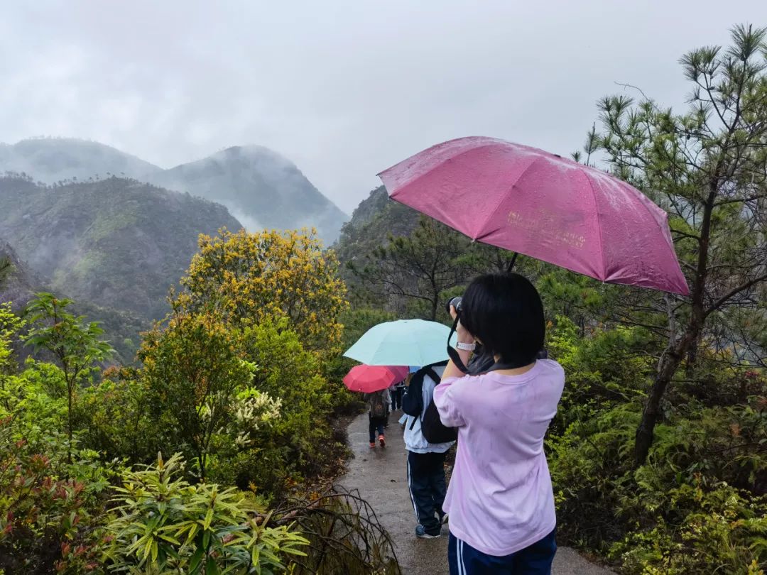 火山喷出的是什么岩_透明火山玻璃岩_火山岩