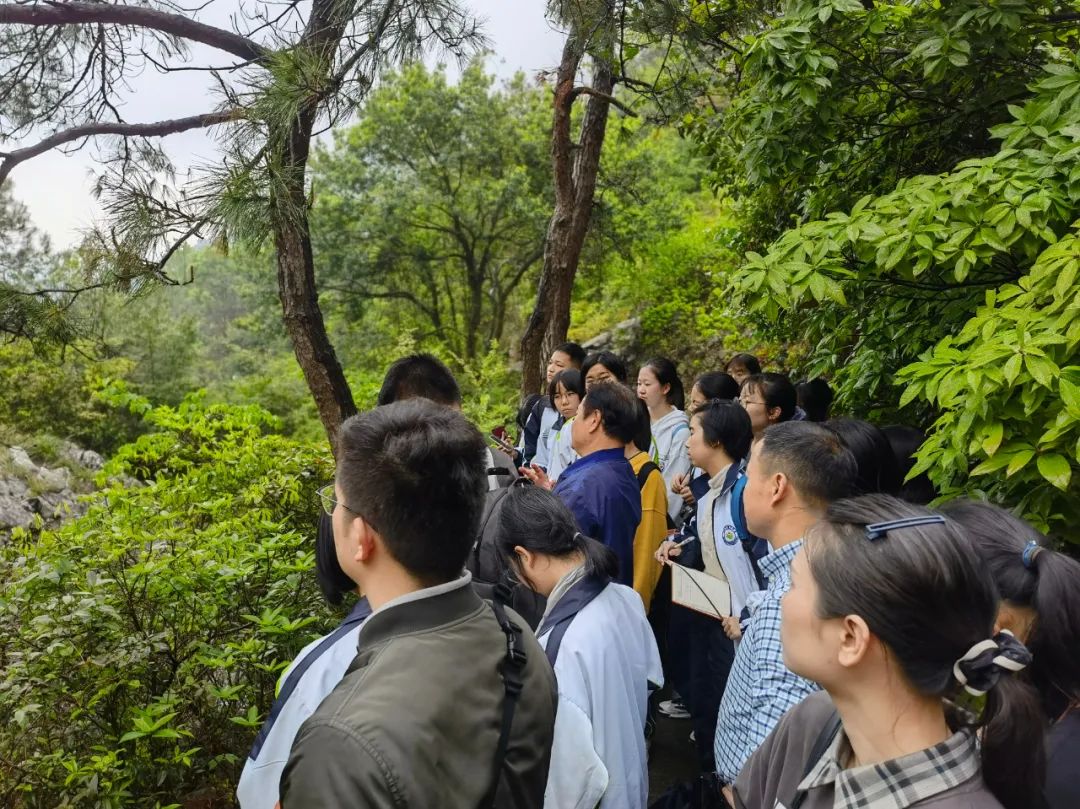 火山喷出的是什么岩_透明火山玻璃岩_火山岩