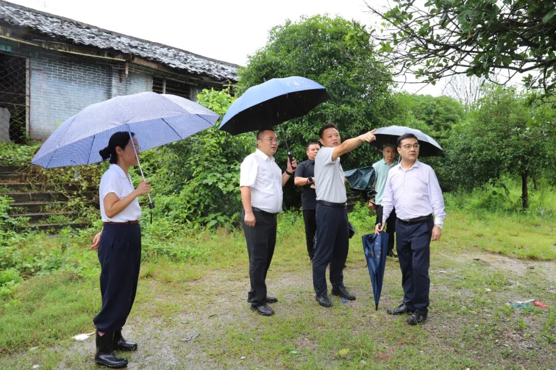 >政务动态>阳朔动态>当天,县委书记周彦,县委常委,县委办主任林小波