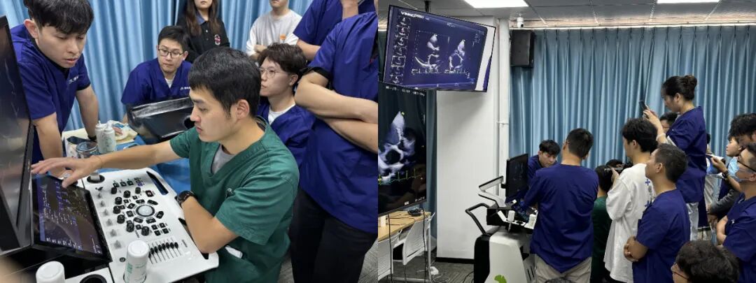 医疗缝线怎么做【临床分享】外科缝合操作，你做对了吗？_https://www.jmylbn.com_新闻资讯_第49张