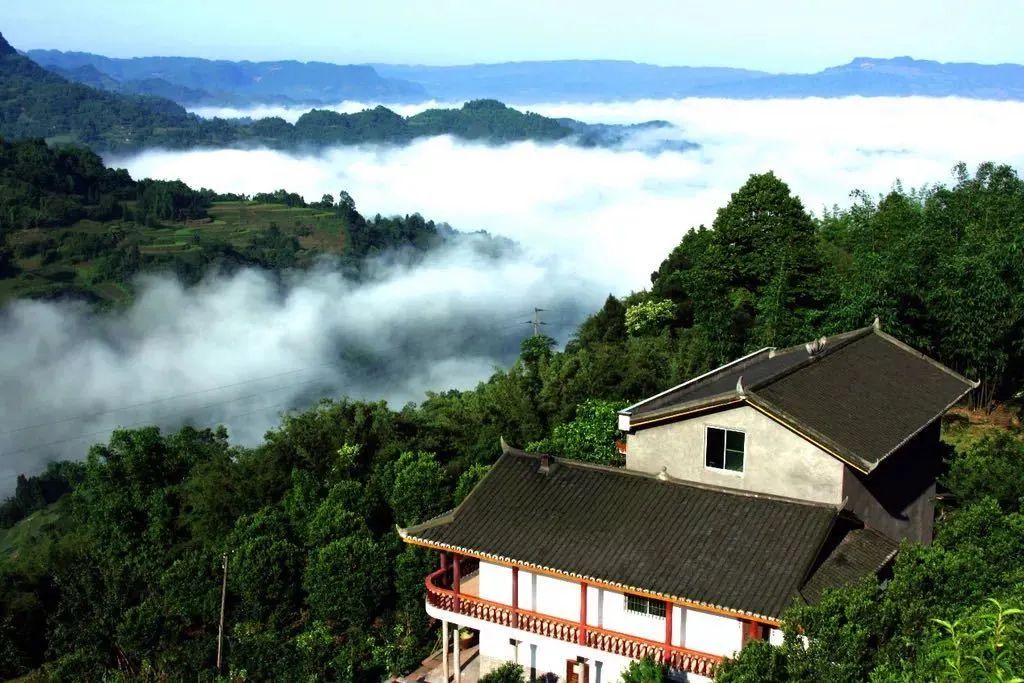 新聞 | 「大竹海」天團正式出道！這些竹林風景線你都去過嗎？ 旅遊 第16張