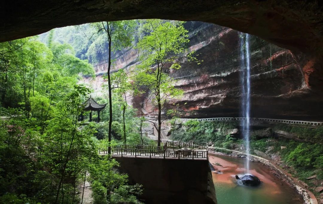 新聞 | 「大竹海」天團正式出道！這些竹林風景線你都去過嗎？ 旅遊 第9張