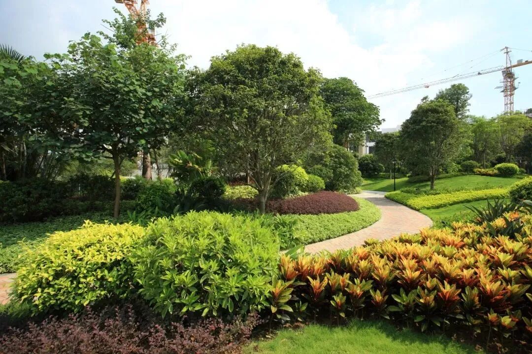 增城荔城尚东半山别墅232-272㎡全新联排，403-507㎡臻藏双拼！