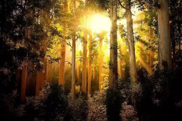 阳气不足百病生！3个补阳气方法！