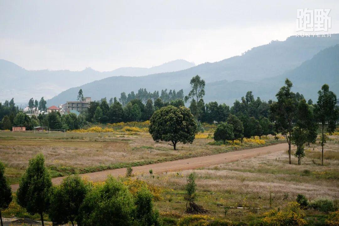 观点｜安踏与 41 岁贝克勒牵手 这是在下一盘怎样的棋？