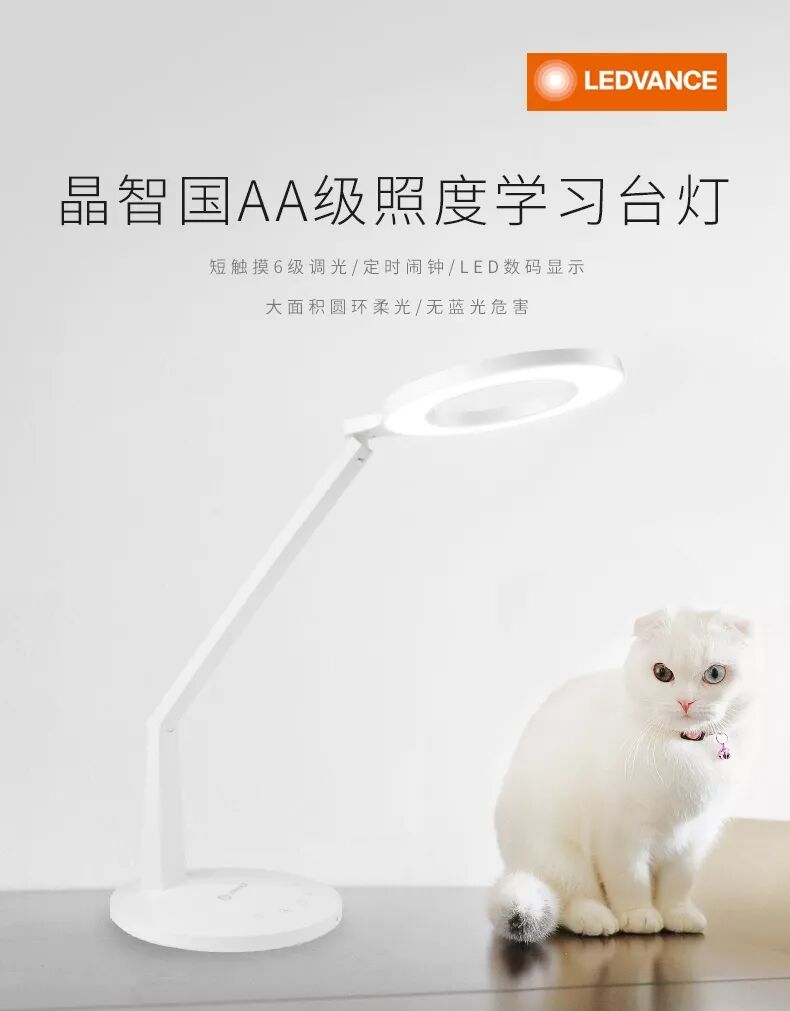 舒適陪伴，點亮生活之美