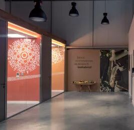 朗德萬斯點亮世界最大塗鴉！