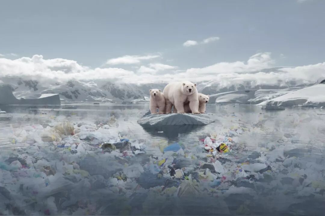 塑膠製品、減少使用