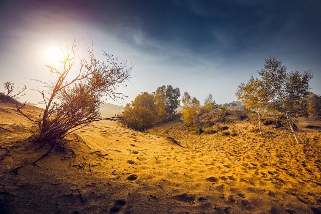 為了這一代和將來世世代代保護和改善環境