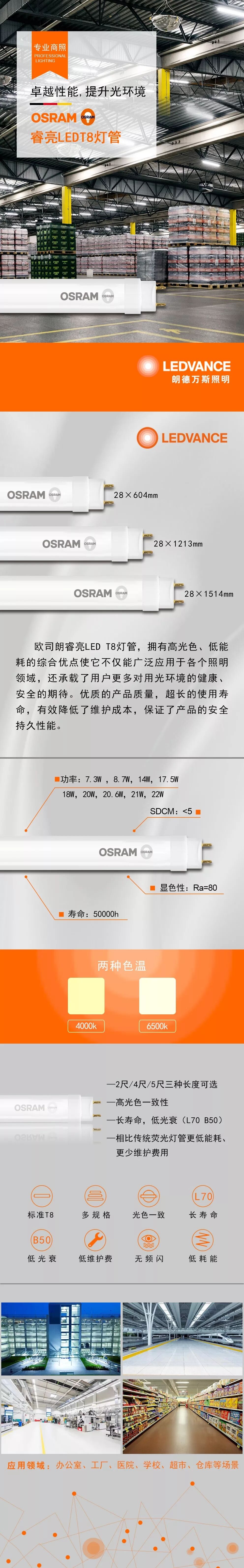 歐司朗 高亮版 T8 雙端 LED 燈管