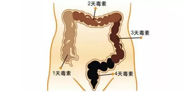 汗蒸spa排宿便按摩真能養顏排毒嗎別扔錢了