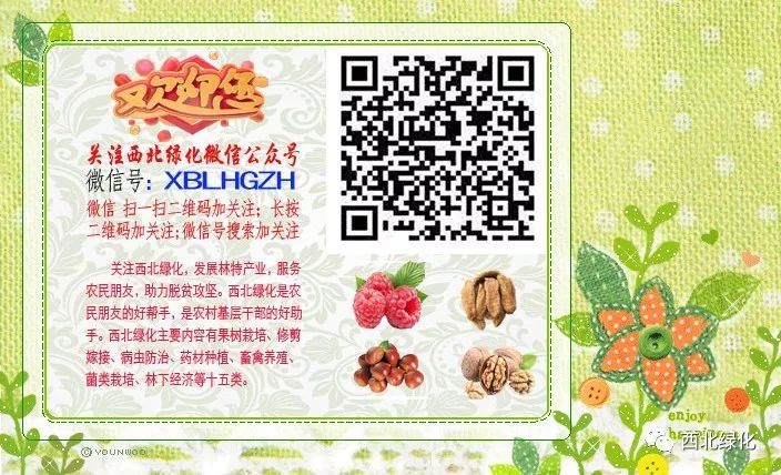 香菜出苗后用什么除草剂除草_除草剂_芝麻地用什么除草剂除草