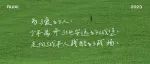 写给男朋友的一封情书：