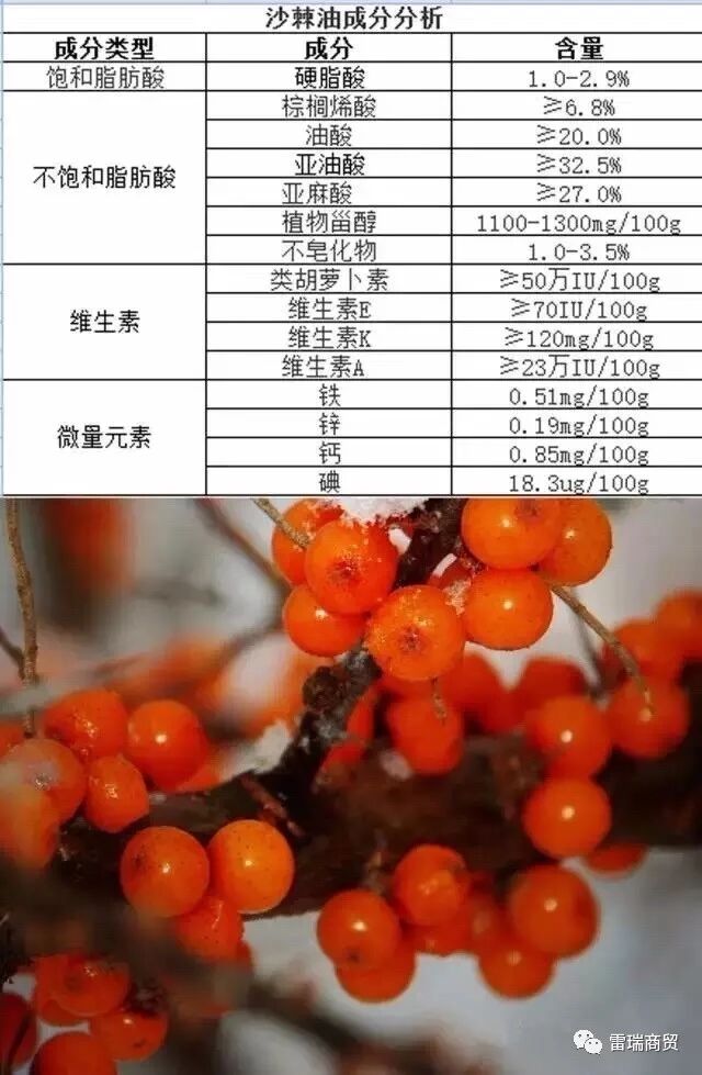 沙棘油是一种高级营养油！