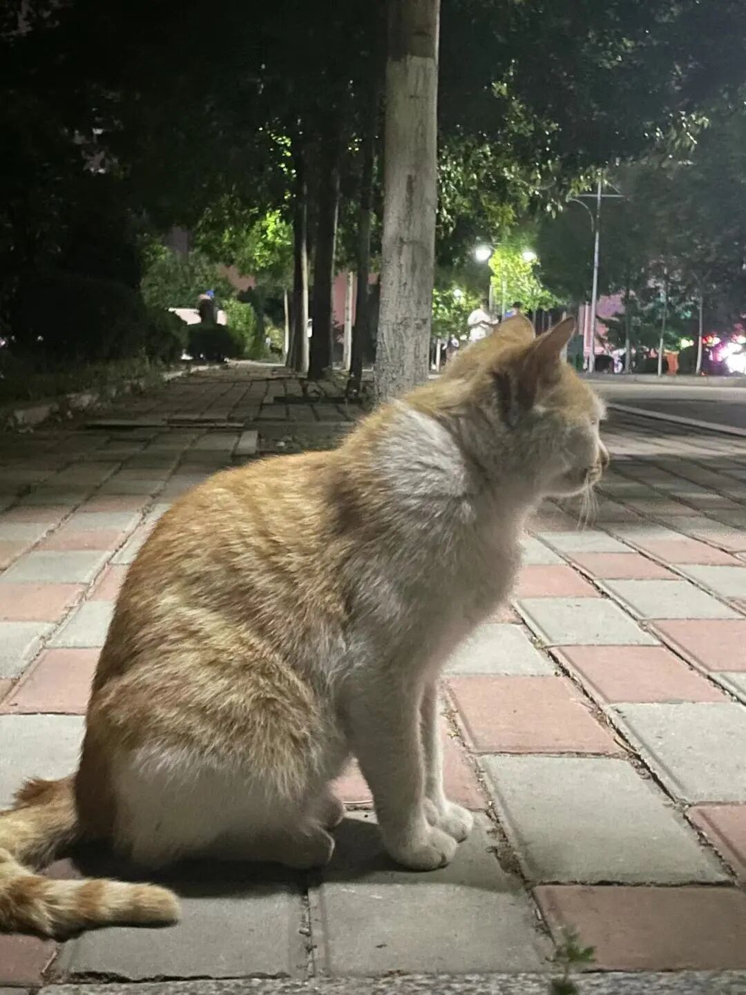 山东力明科技职业学院