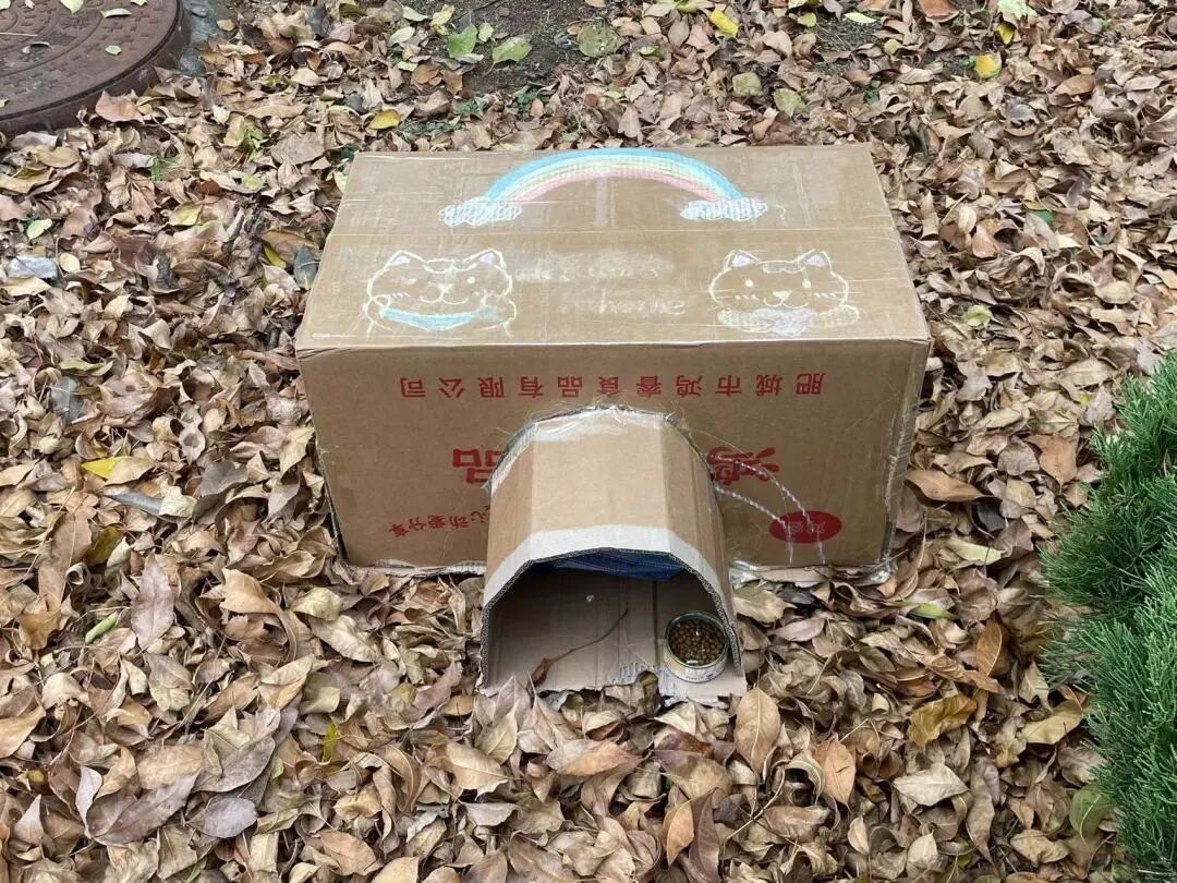 山东力明科技职业学院