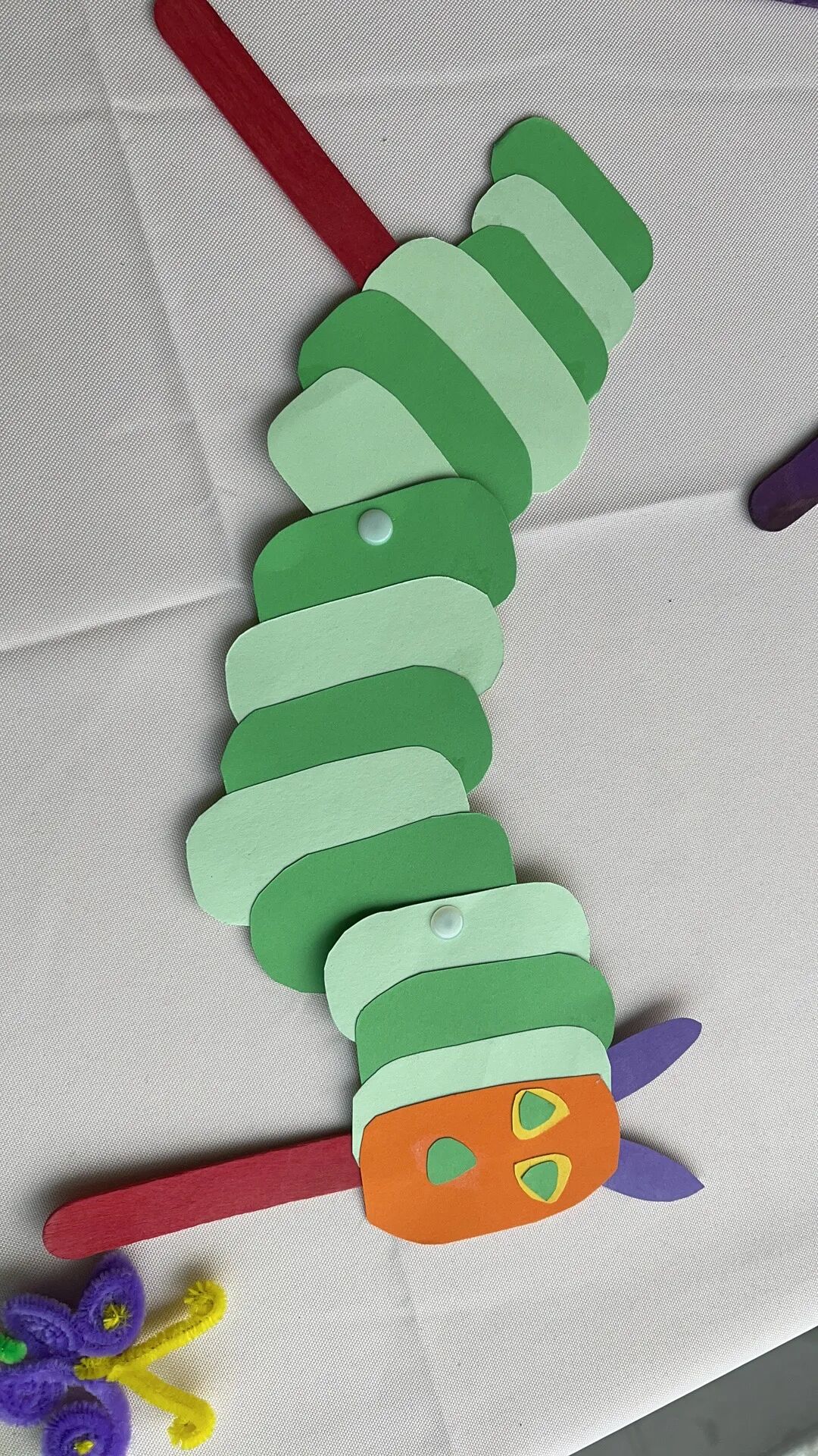 毛毛虫英文_毛毛虫英译_毛毛虫虫的英语怎么读