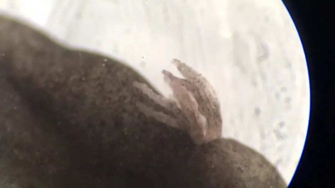 ��ڼ�߼������� �����ж����ɽ���������ȱ�ݣ�