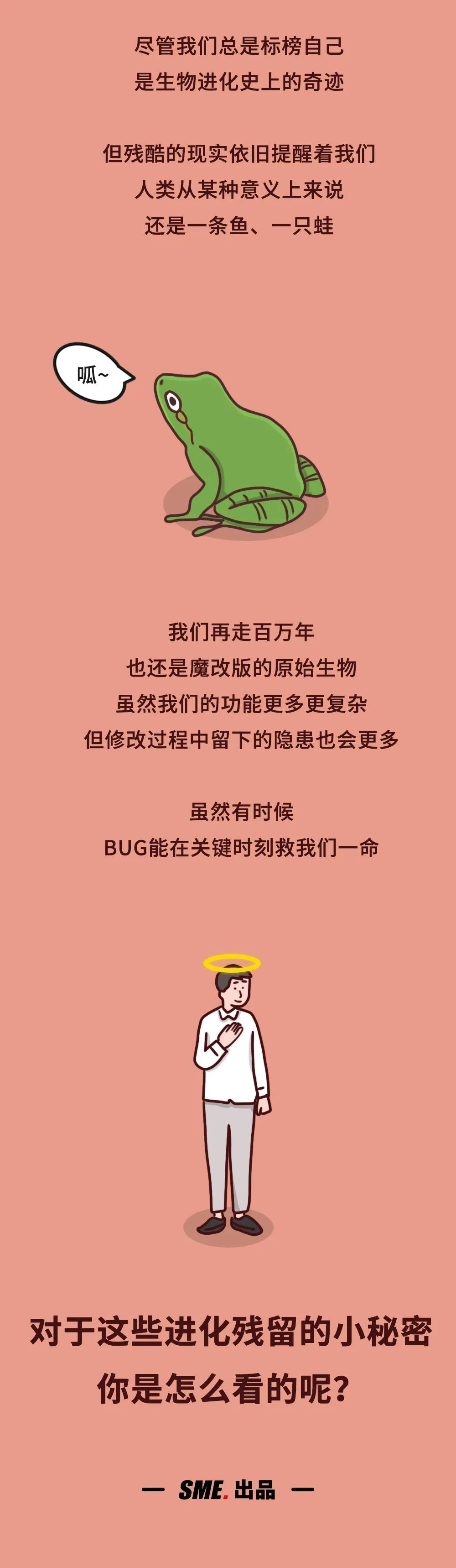 Cicc科普栏目 除了尾骨 人体还有哪些有意思的进化残留 中国指挥与控制学会 微信公众号文章阅读 Wemp