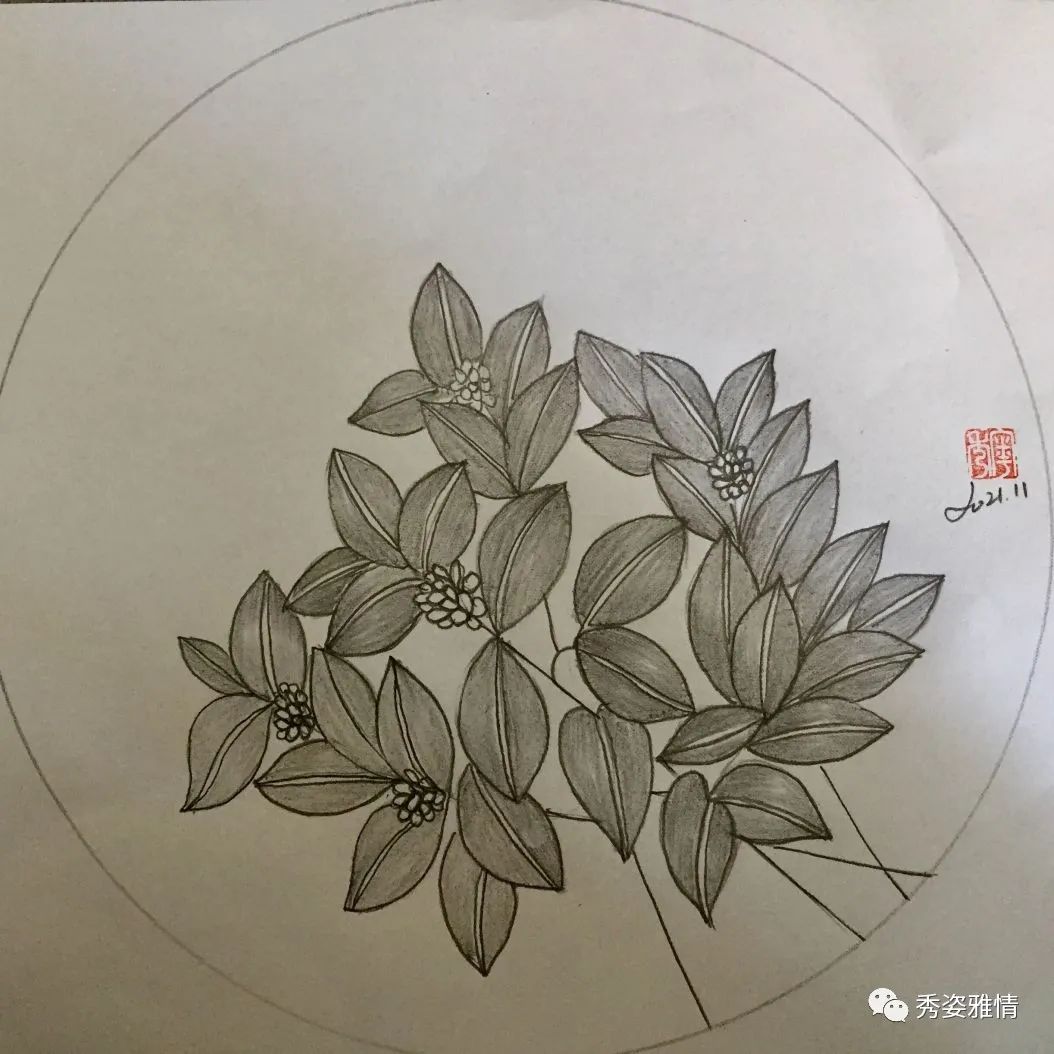 南国有花开6 桂花 全网搜