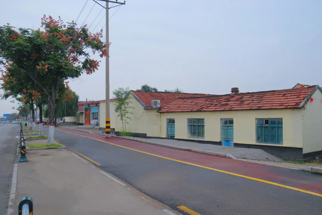 临朐县冶源街道持续抓好滨九路综合整治提升工作