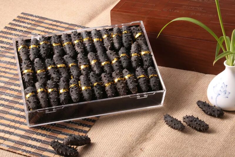 小海参，赛过人参本领强