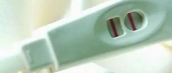 哪些因素影响移植成功率？