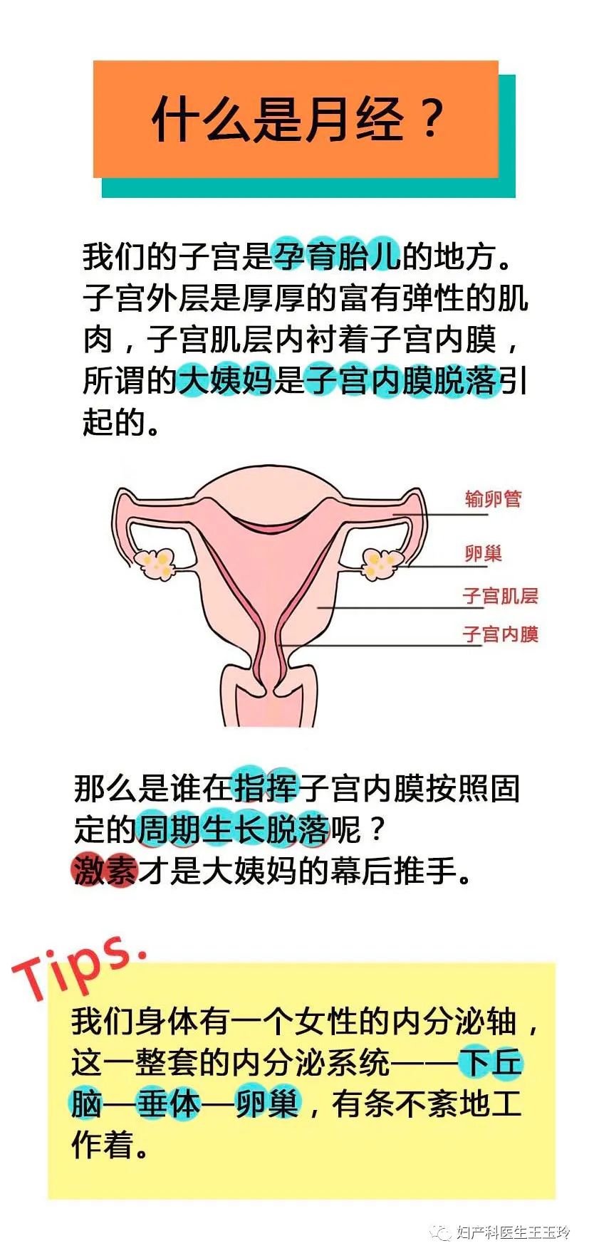 大阿姨從哪裡來？ 家居 第3張