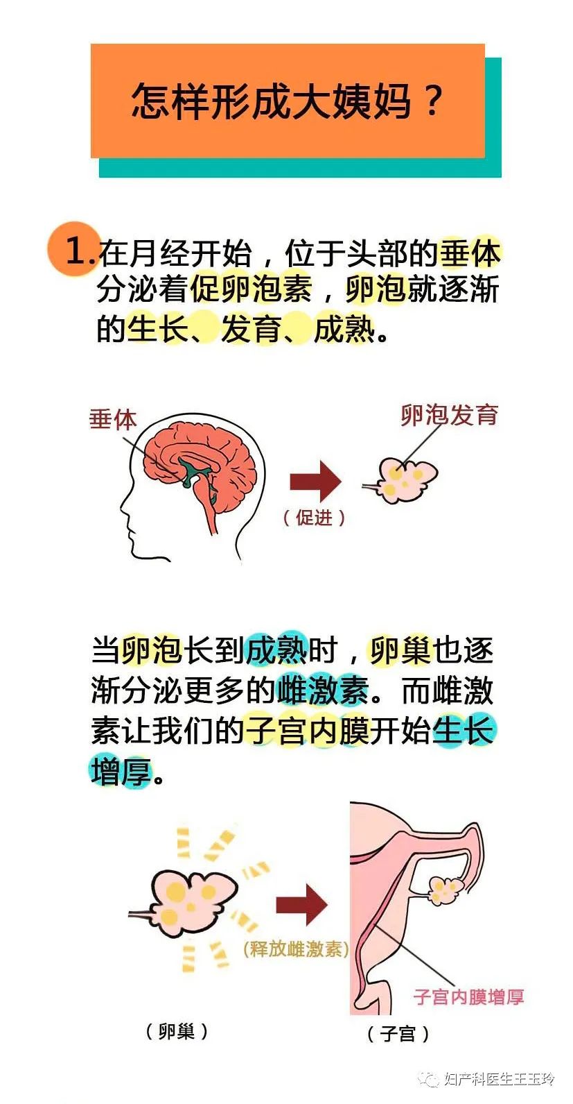 大阿姨從哪裡來？ 家居 第4張