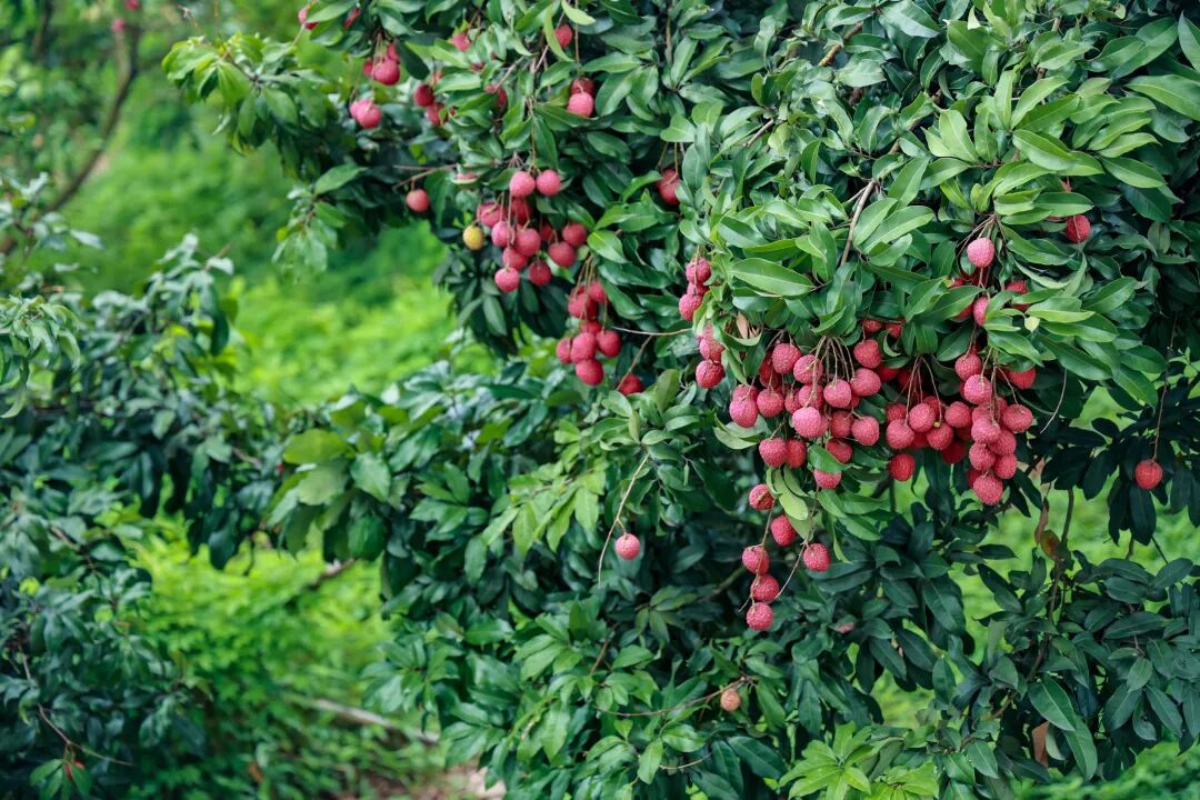 图片来源：省文化和旅游发展与保障中心