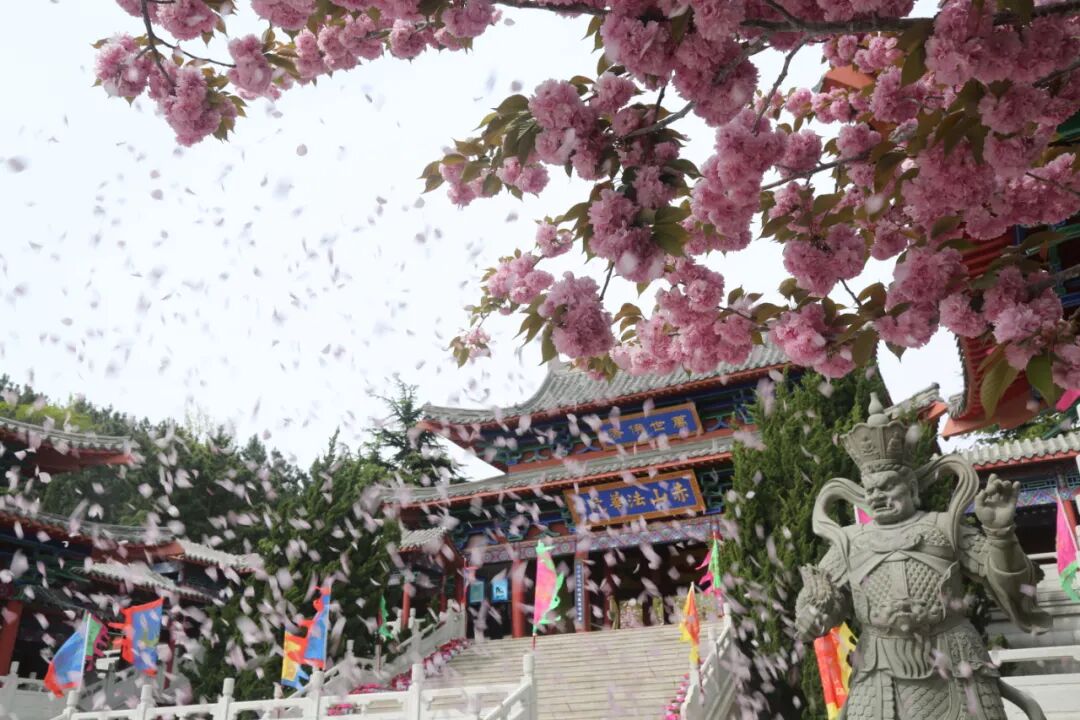 芳菲正好赏花惜春莫等闲