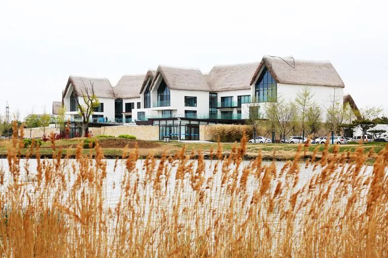 天鹅湖海草房荣成市成山镇天鹅海岸海草民宿聚集区不能错过