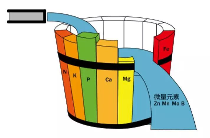 中微肥资讯 如何用中微肥补齐作物营养短板 钾盐与中微肥 微信公众号文章阅读 Wemp