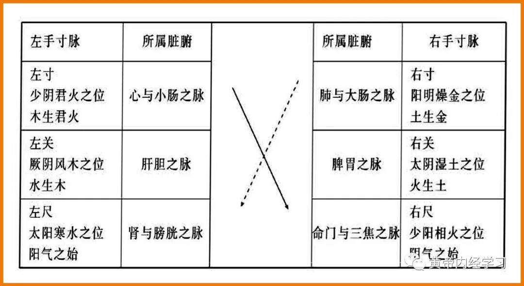 为什么心是钩脉用运气思维探索脉学临床应用_https://www.jmylbn.com_新闻资讯_第3张