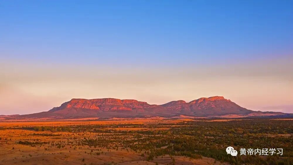 为什么心是钩脉用运气思维探索脉学临床应用_https://www.jmylbn.com_新闻资讯_第7张
