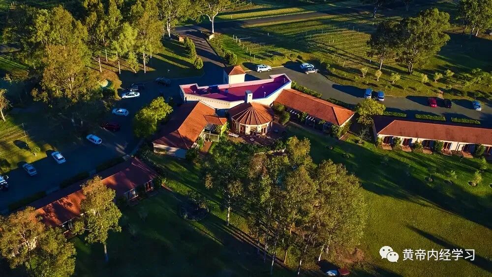 为什么心是钩脉用运气思维探索脉学临床应用_https://www.jmylbn.com_新闻资讯_第4张