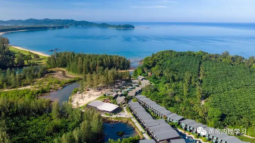 为什么心是钩脉用运气思维探索脉学临床应用_https://www.jmylbn.com_新闻资讯_第6张