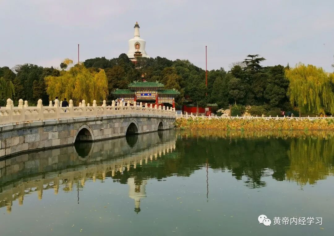 为什么心是钩脉《黄帝内经.素问》宣明五气篇第二十三解读_https://www.jmylbn.com_新闻资讯_第2张