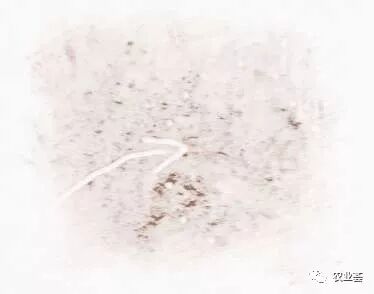 墓地风水学入门五色土