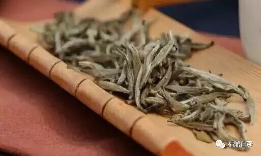 家庭存茶必须知道的技巧